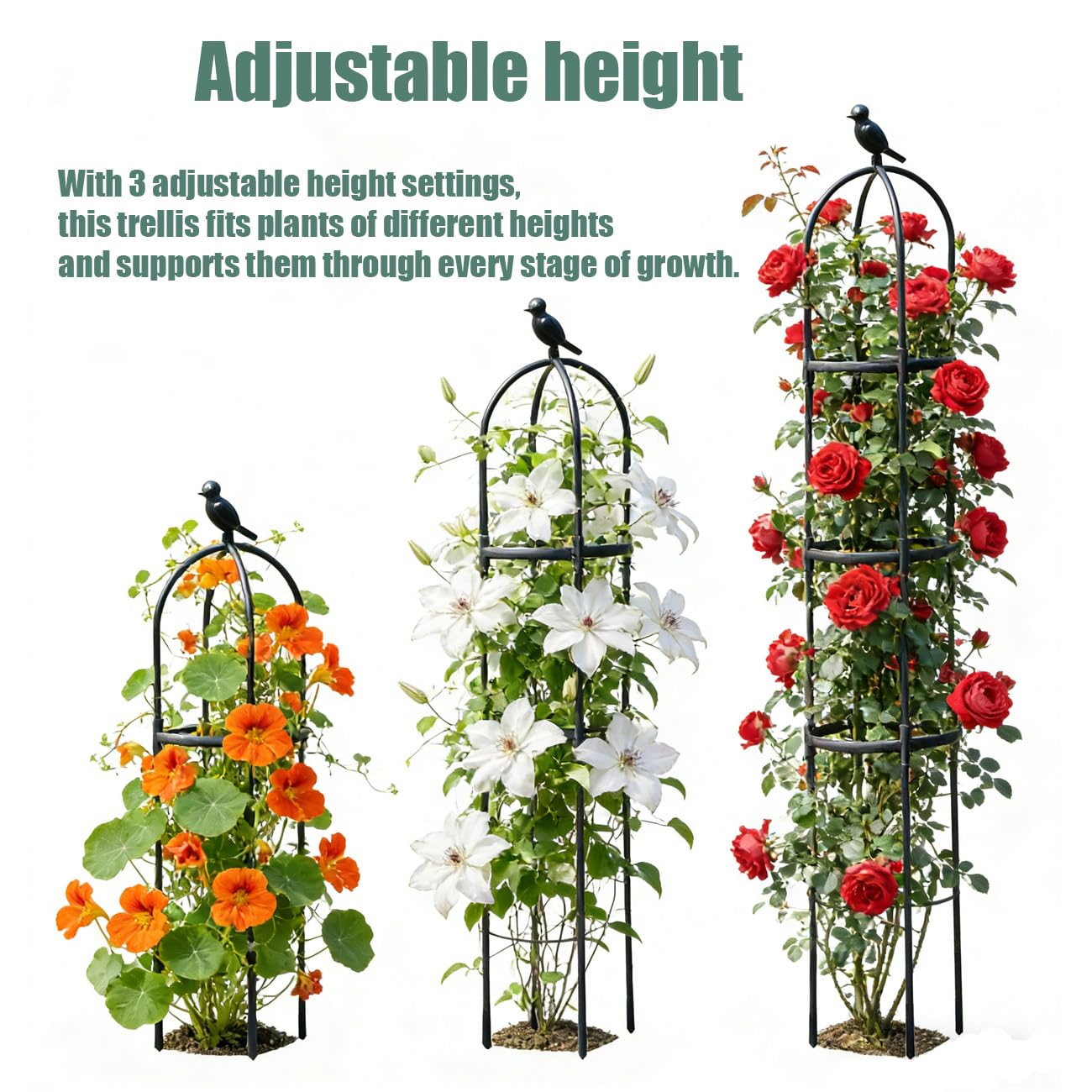 Garden Trellis, 63" Plant Support with Bird Decoration, Plant Trellis for Climbing Vines,Black Decorative Garden Cage for Climbing Roses, Clematis, Vegetables in Patio & Yard-1PACK