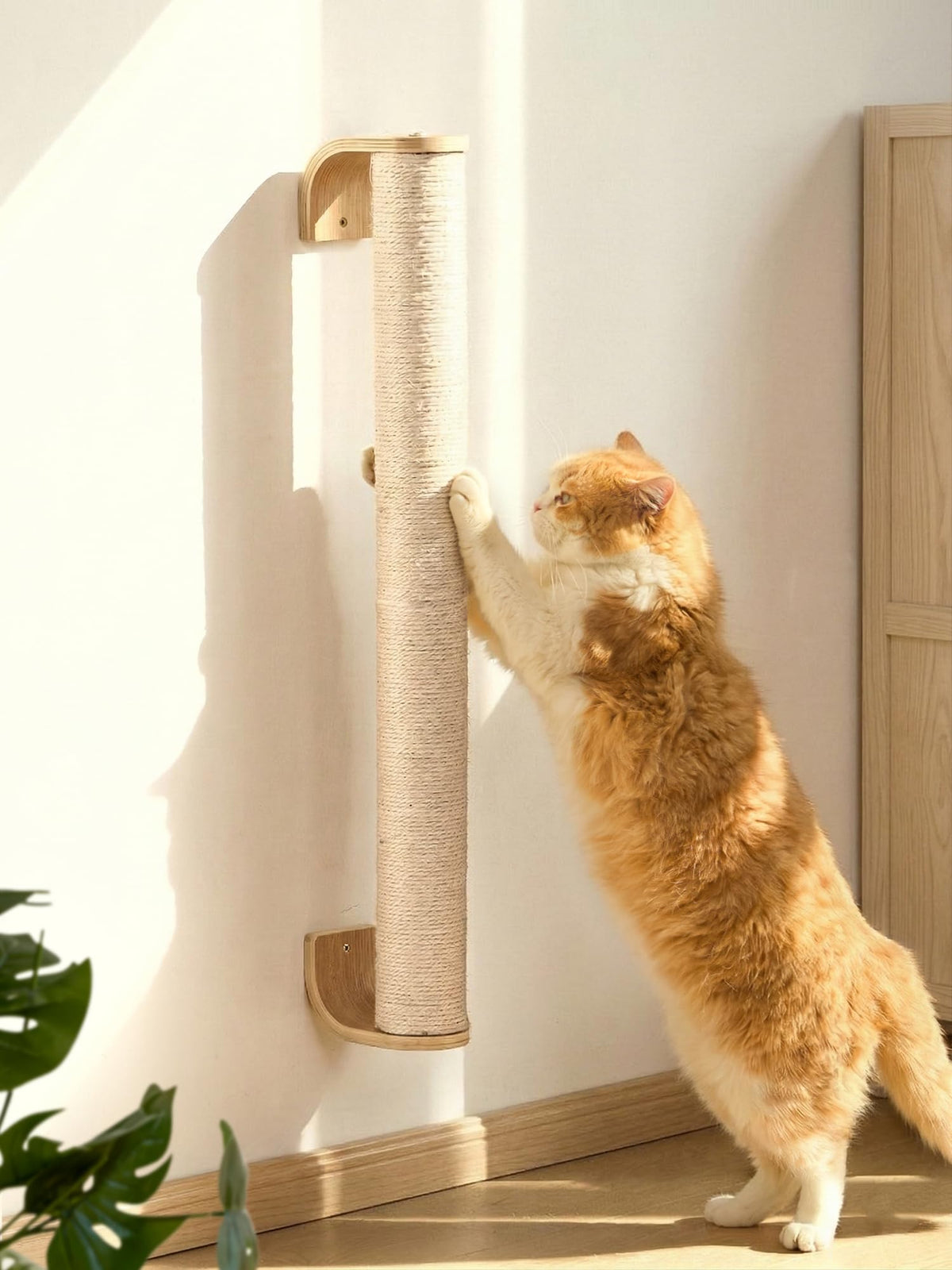 FUKUMARU Cat Wall Scratcher, 60" Tall Kitten Scratching Post