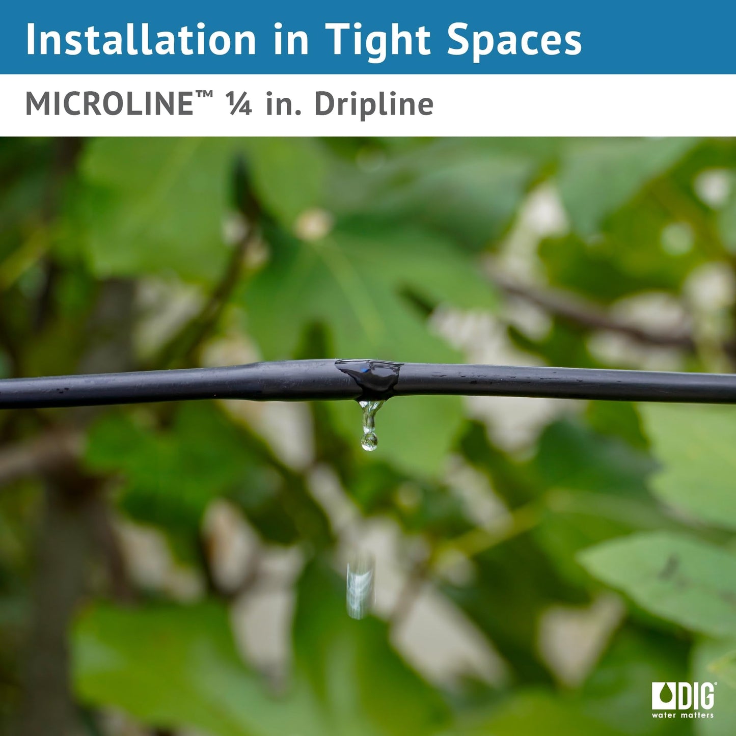 DIG ML-056, 50’, ¼” Microline™ Dripline - Enhanced 6” Emitter Spacing, UV-Resistant, Perfect for Diverse Garden Layouts (Black)