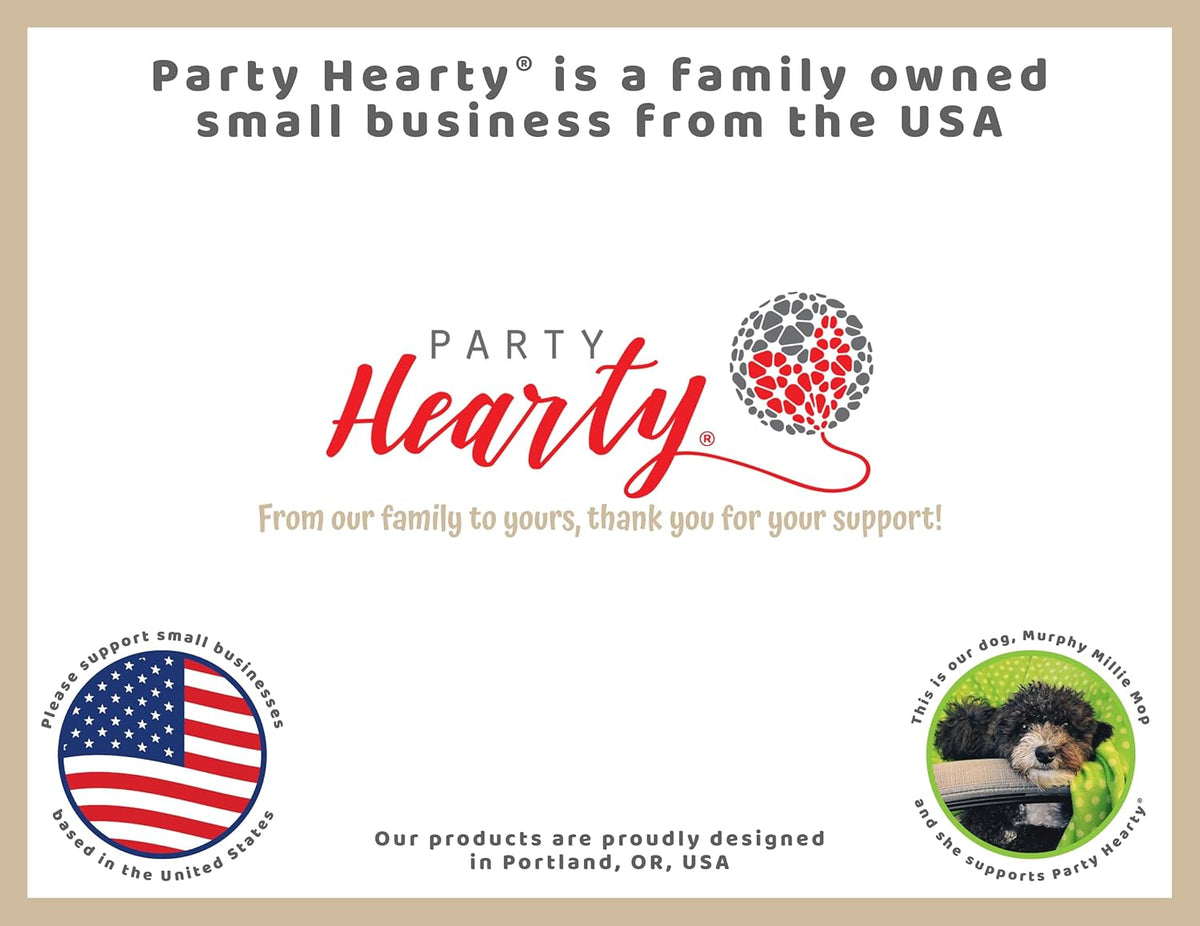 Party Hearty Funny Baby Shower Games for Boy, Pin The Pacifier on The Baby Game, Where is The Baby’s Binky, Pin The Dummy