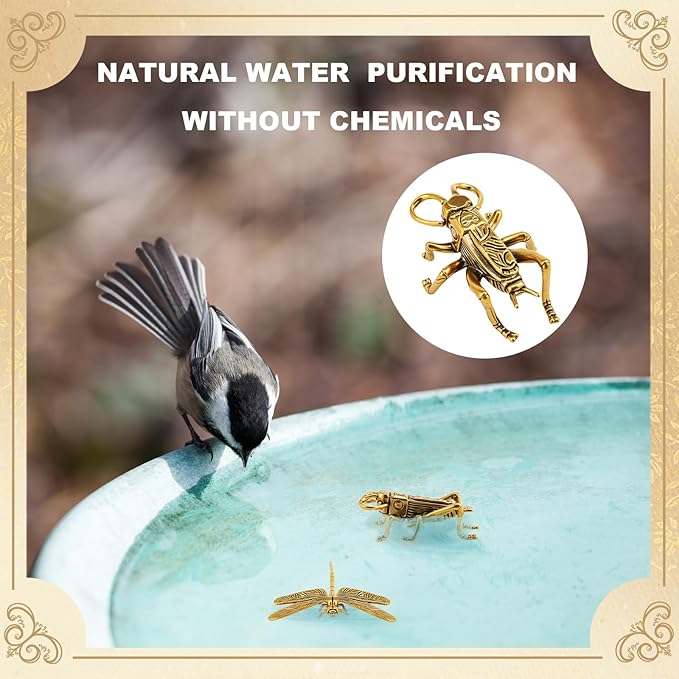 Moxweyeni 4 Pcs Mini Bird Bath Copper Ornaments Bird Bath Purification Disk