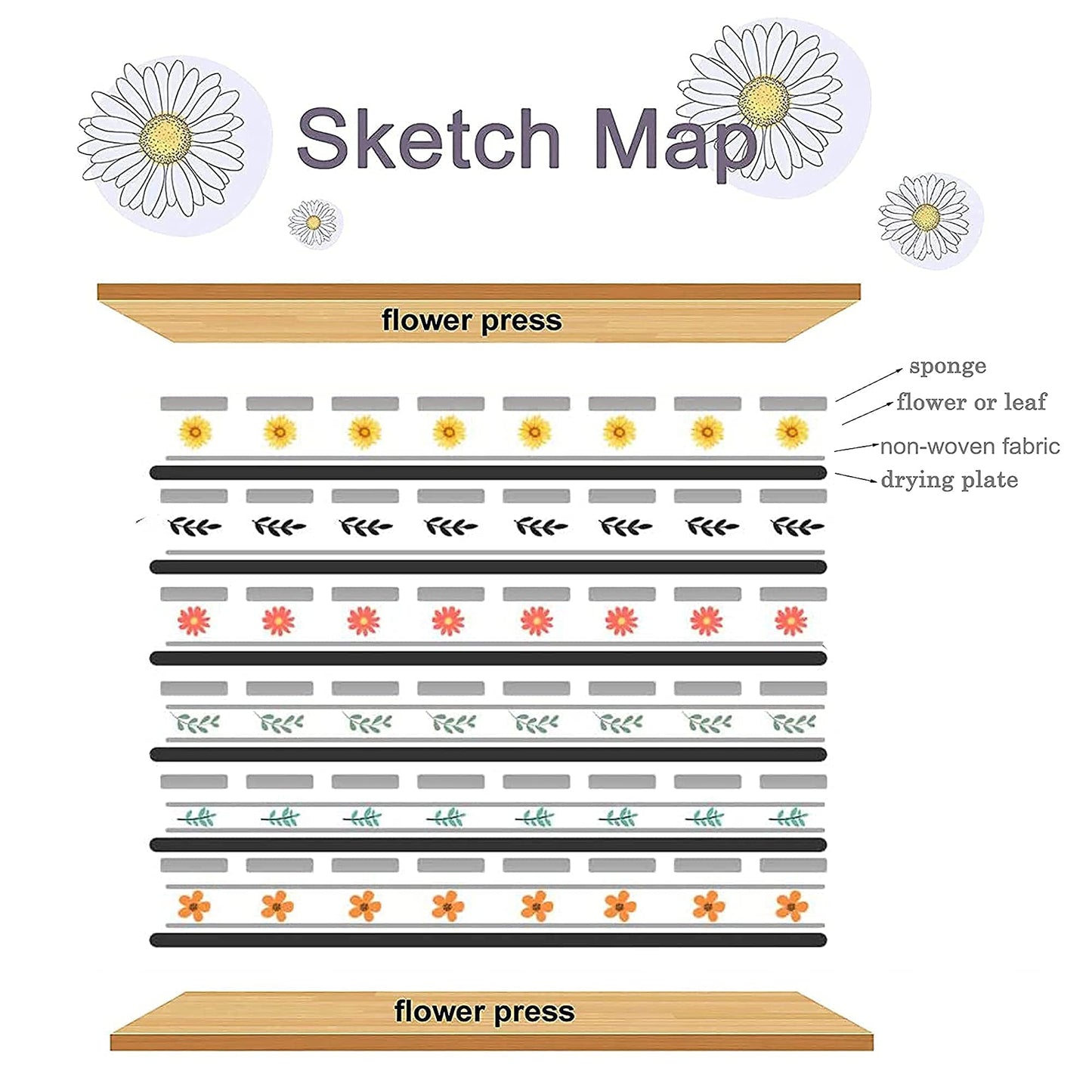 DICHA Microwave Flower Press Book- Plant and Leaf Press-Beginners Flower Press Kit Professional -6"X9" Flower Pressing Kit for Adults - Efficient,Simple Outdoor Activity Arts & Crafts