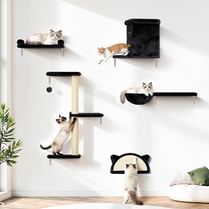 5-in-1 Cat Wall Shelves, Solid Wood Cat Wall Furniture Set for Indoor Cats
