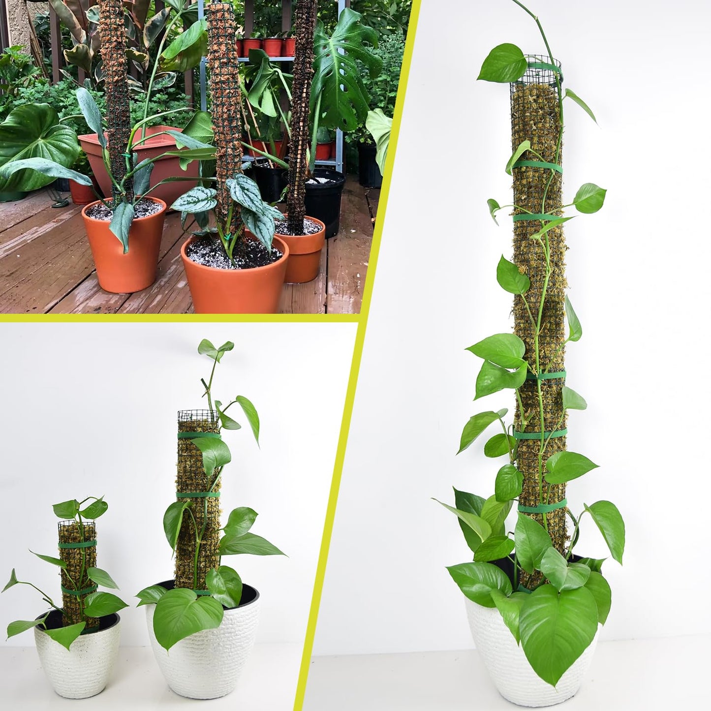 HOLANHING 6 Pack Metal Moss Pole, 24" Moss Poles for Plants Monstera, Stackable Sphagnum Moss Pole for Plants Work with Sphagnum Moss(6 Pack 24")