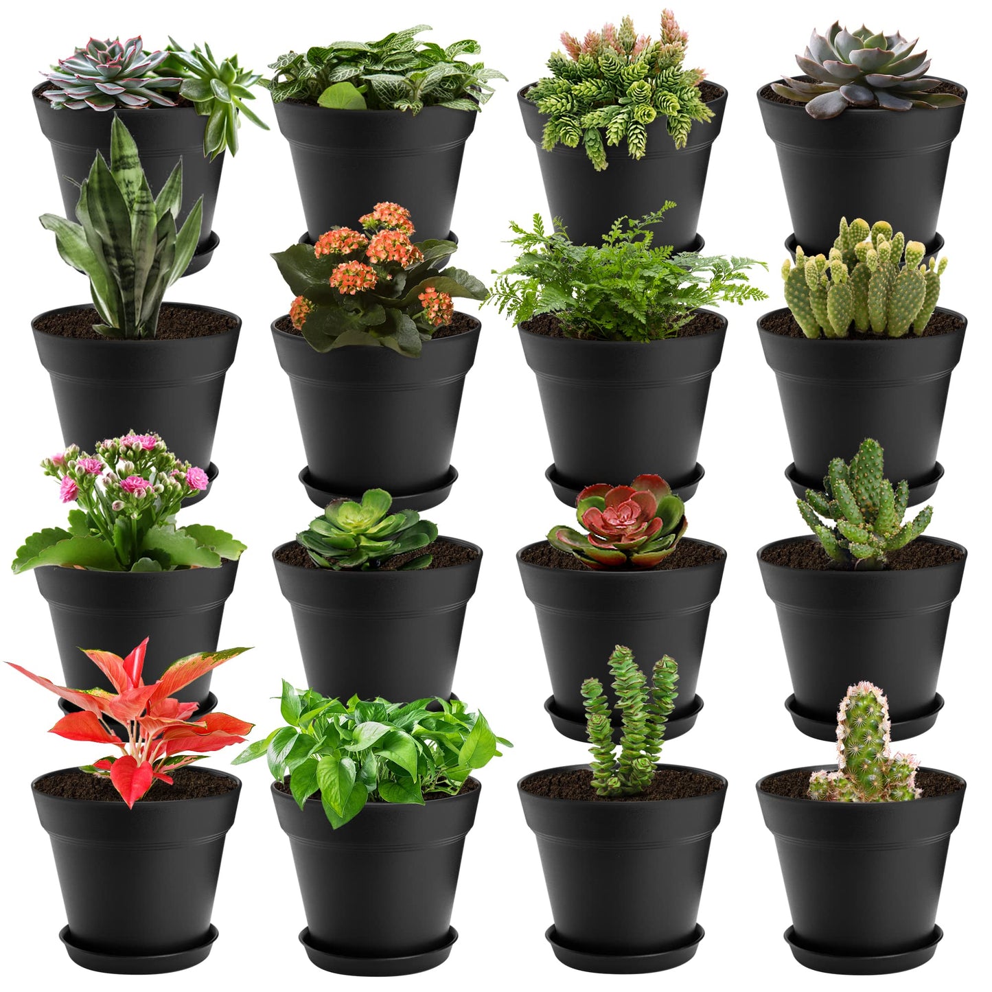 FHWTY 16 Pack Plastic Plant Pots with Drainage Holes and Tray, 4 inch Thickened Indoor Planters Seedlings Nursery Pots for Flowers, African Violet, Succulent and All House Plants, Black