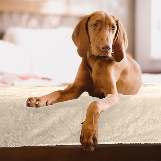 PETMAKER Dog Blanket, Cream, 80” x 100”