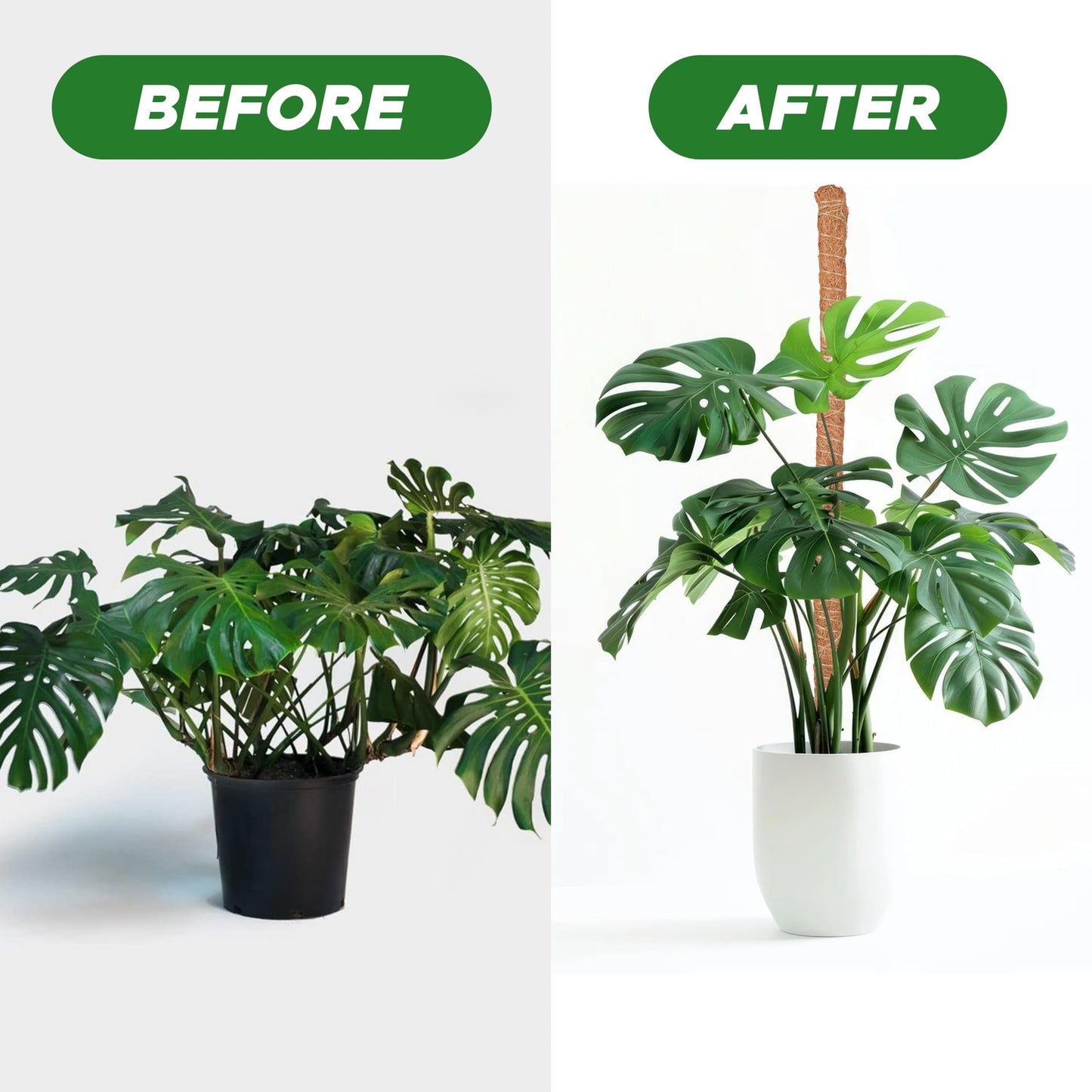 EcoNour 2 Pack Moss Poles for Plants – 28" Monstera Plant Support Stakes, Coir Plant Sticks for Indoor Climbing Plants, Pothos, Philodendron & Houseplants