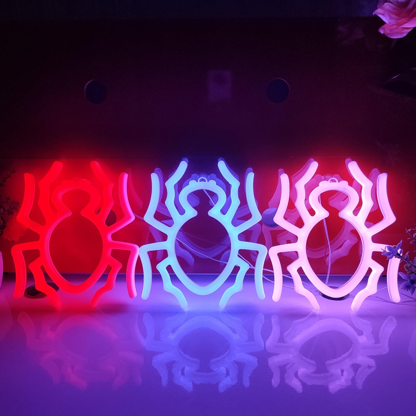 JYWJ Spider Double Sided Neon Signs,USB or 3-AA Battery Powered Neon Light,LED Desktop Wall Decoration,Various Parties,Decoration Of Business Premises (Blue)