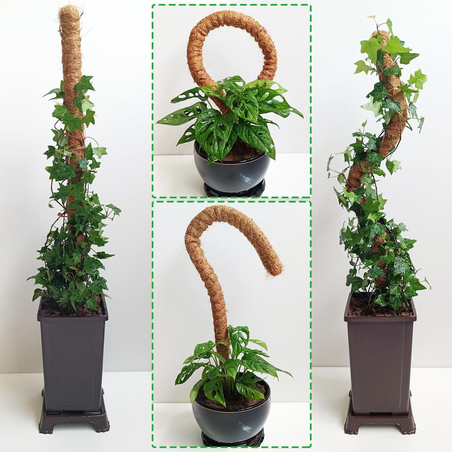 Tall Moss Pole Set, 48” and 60” Bendable Moss Pole for Plants Monstera, Moss Poles for Climbing Plants Indoor, Large Coco Coir Plant Pole Sticks Support Stakes for Potted Plants, Pothos
