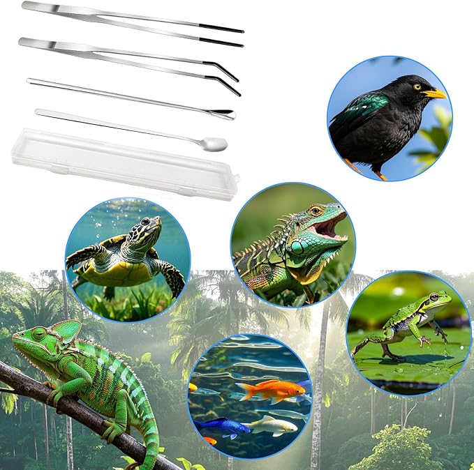 4-Piece Reptile Tweezers & Spoon Set, Bearded Dragon Terrarium pet Tools