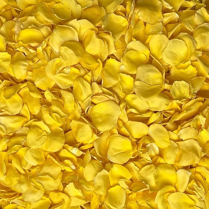 Rose Petals for Wedding Decoration, Bridal Toss, and Aisles, Freeze Dried, Use within 1 month (Yellow, 2 cup Sample)