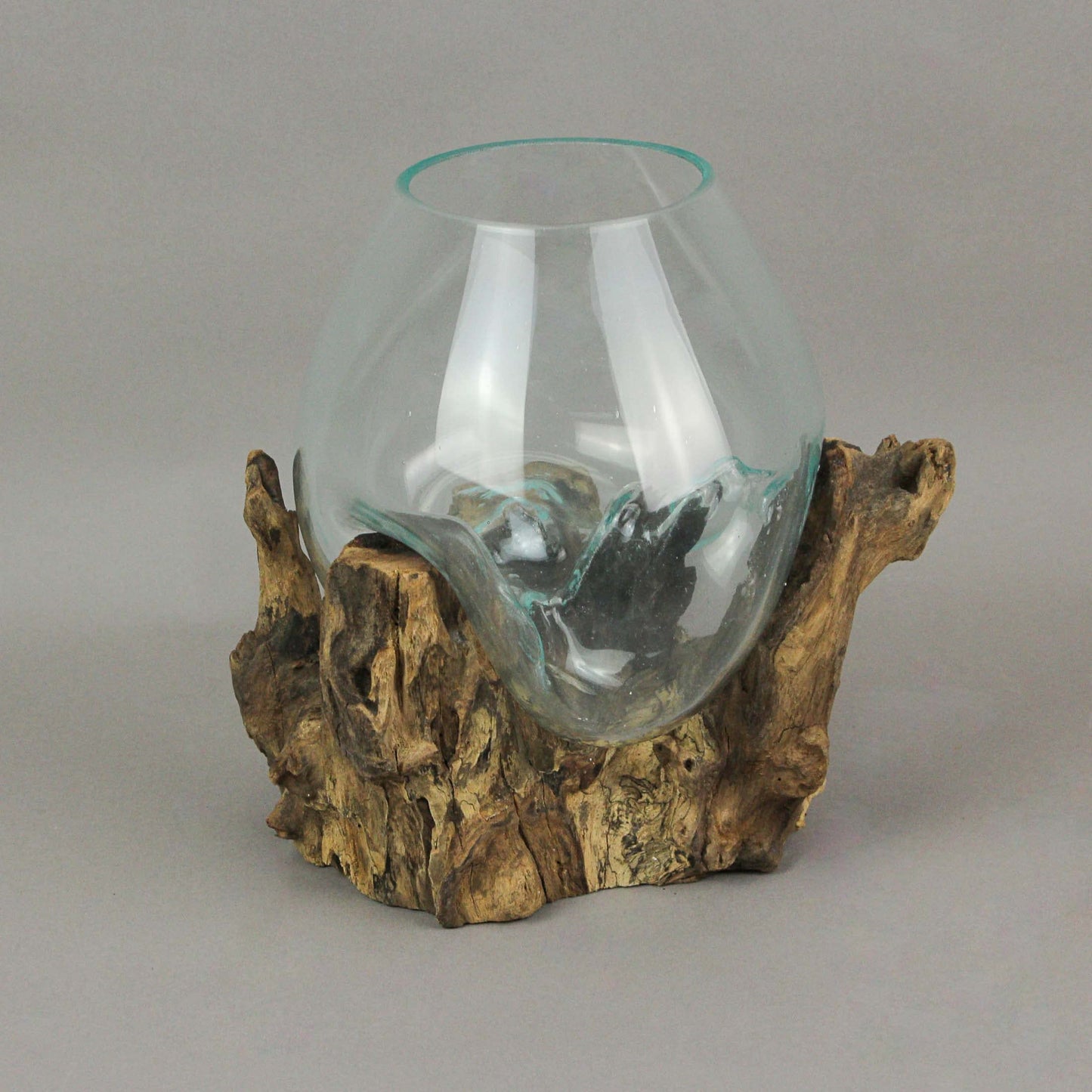 Things2Die4 Large Molten Glass Sculptural Bowl / Plant Terrarium On Natural Driftwood Base, Brown, 10 Inch