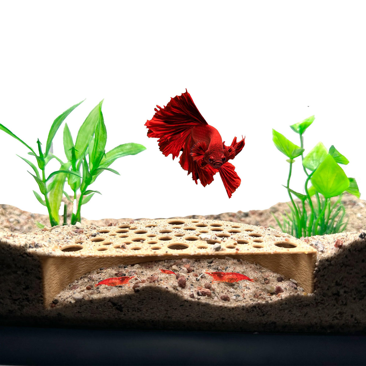 CTWPets Shrimp Breeding Protector, Shrimp Hide Tunnel, White