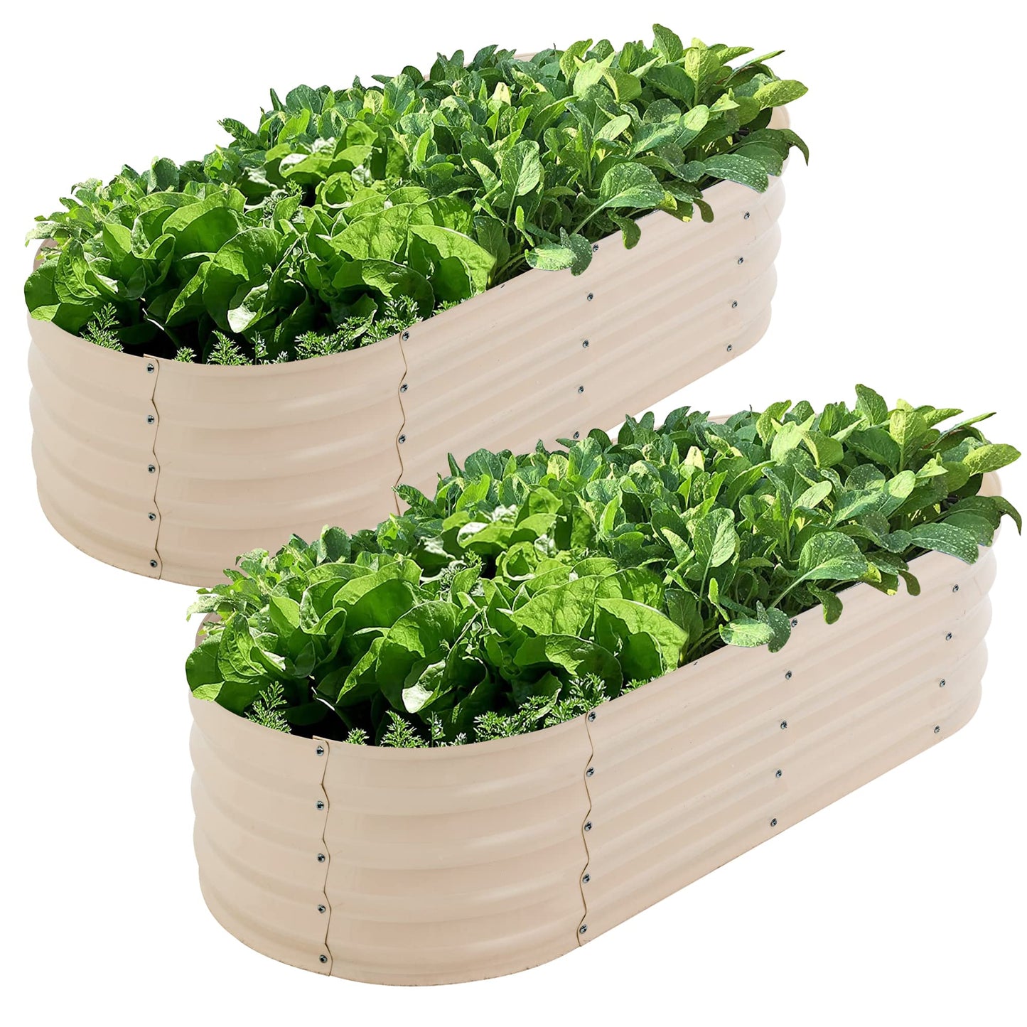 Sundale Outdoor 2 Pack Galvanized Raised Garden Bed Kit, 4x2x1ft Planter Raised Garden Boxes Outdoor with Anti-Rust Paint,Oval Metal Planter Box for Vegetables Flower(Beige)