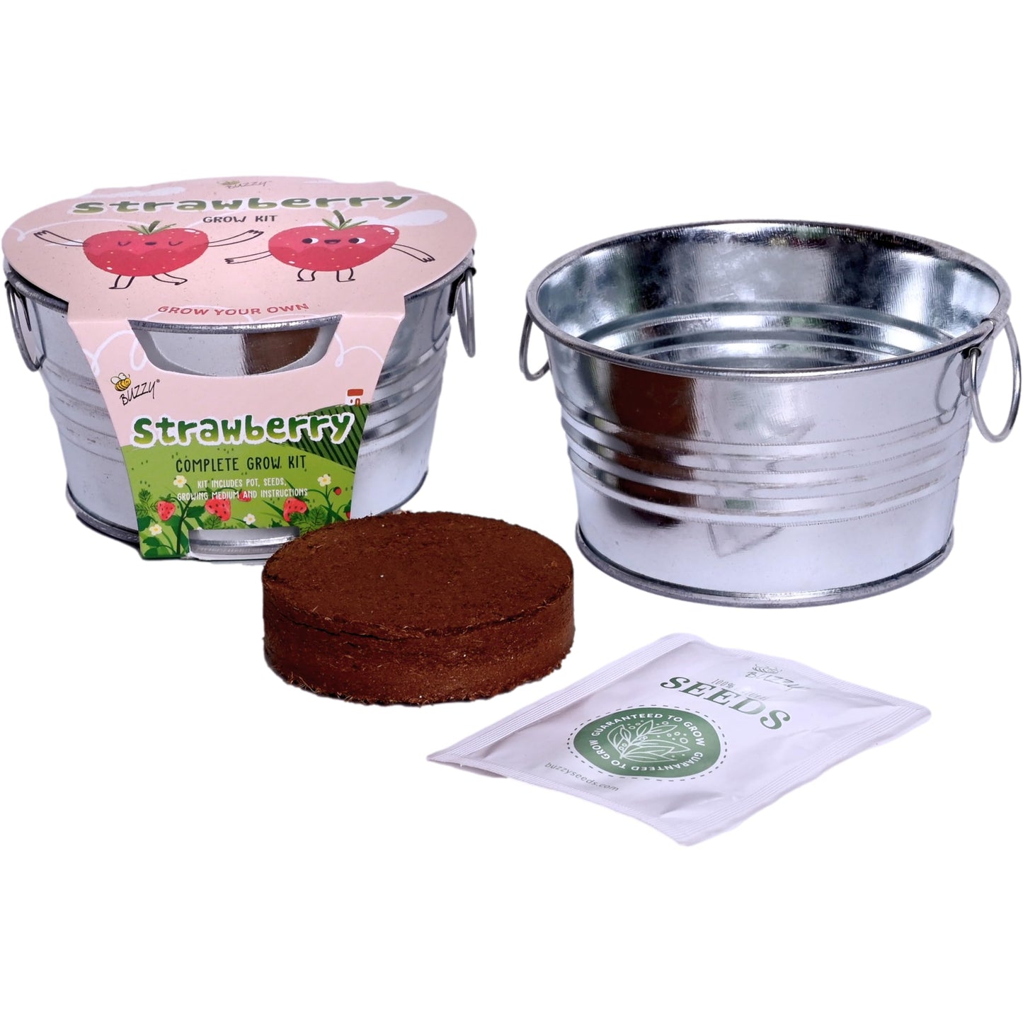 BUZZY Seeds Mini Basin Gardening Kit with Strawberry Seeds for Planting, Flowering Fruit Starter Set, Indoor Plants, DIY Plant Project, Party Favor