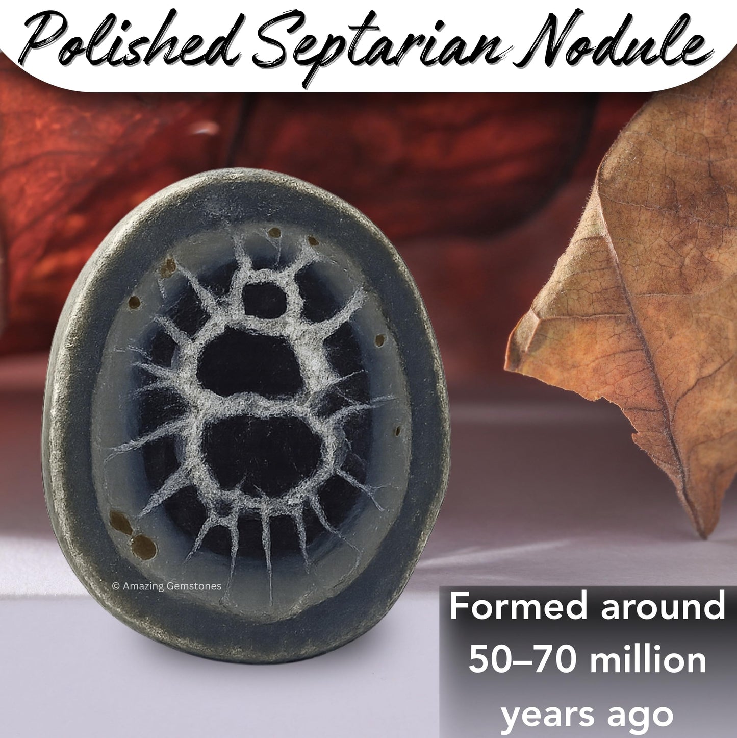 Amazing Gemstone Septarian Nodule Crystals and Healing Stones Mineral Specimen - Premium Semi Precious Gem Stones for Spiritual Growth - Healing Crystals Geode Clusters for Meditation