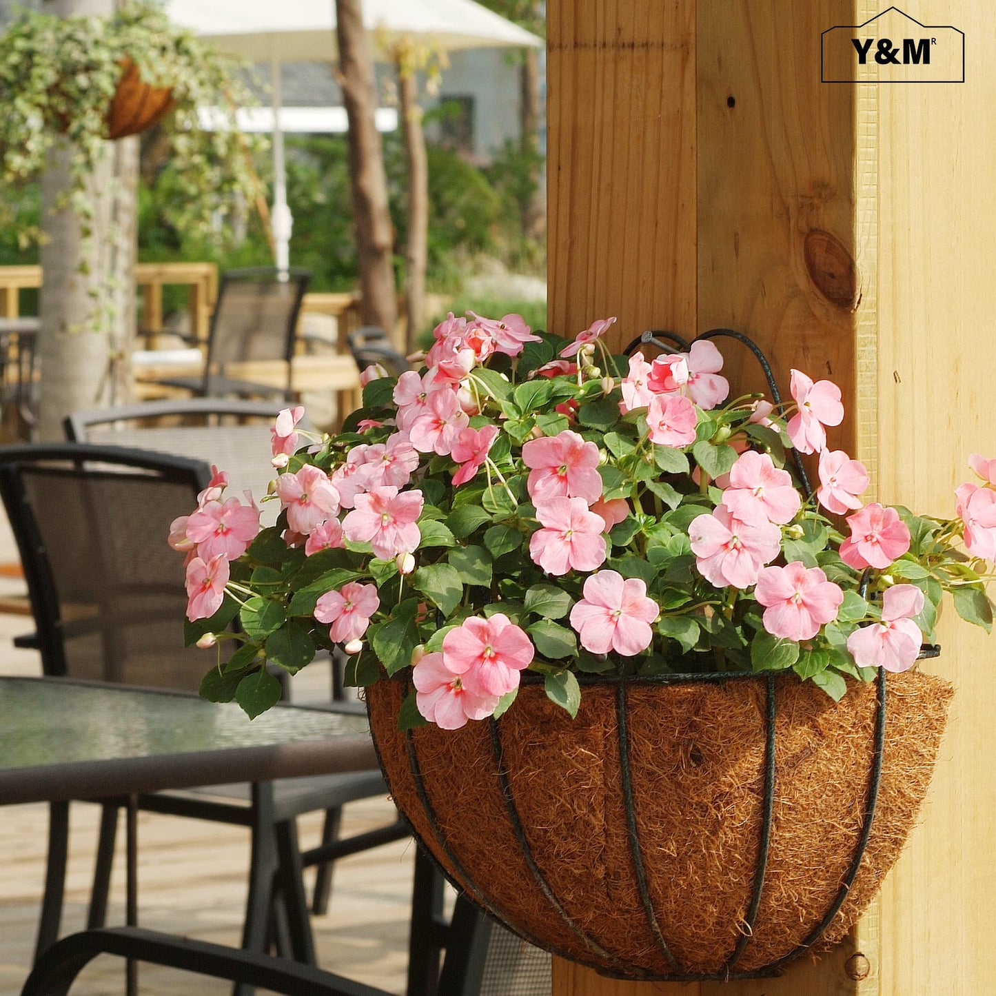Y&M 16 Inch Pre-Formed Half Round Coco Fiber Liners – 2PCS Natural Coconut Liners for Hanging Baskets, Planter Boxes, Wall Mounted, Water Retention, Easy Fit for 16" Half Round Planters
