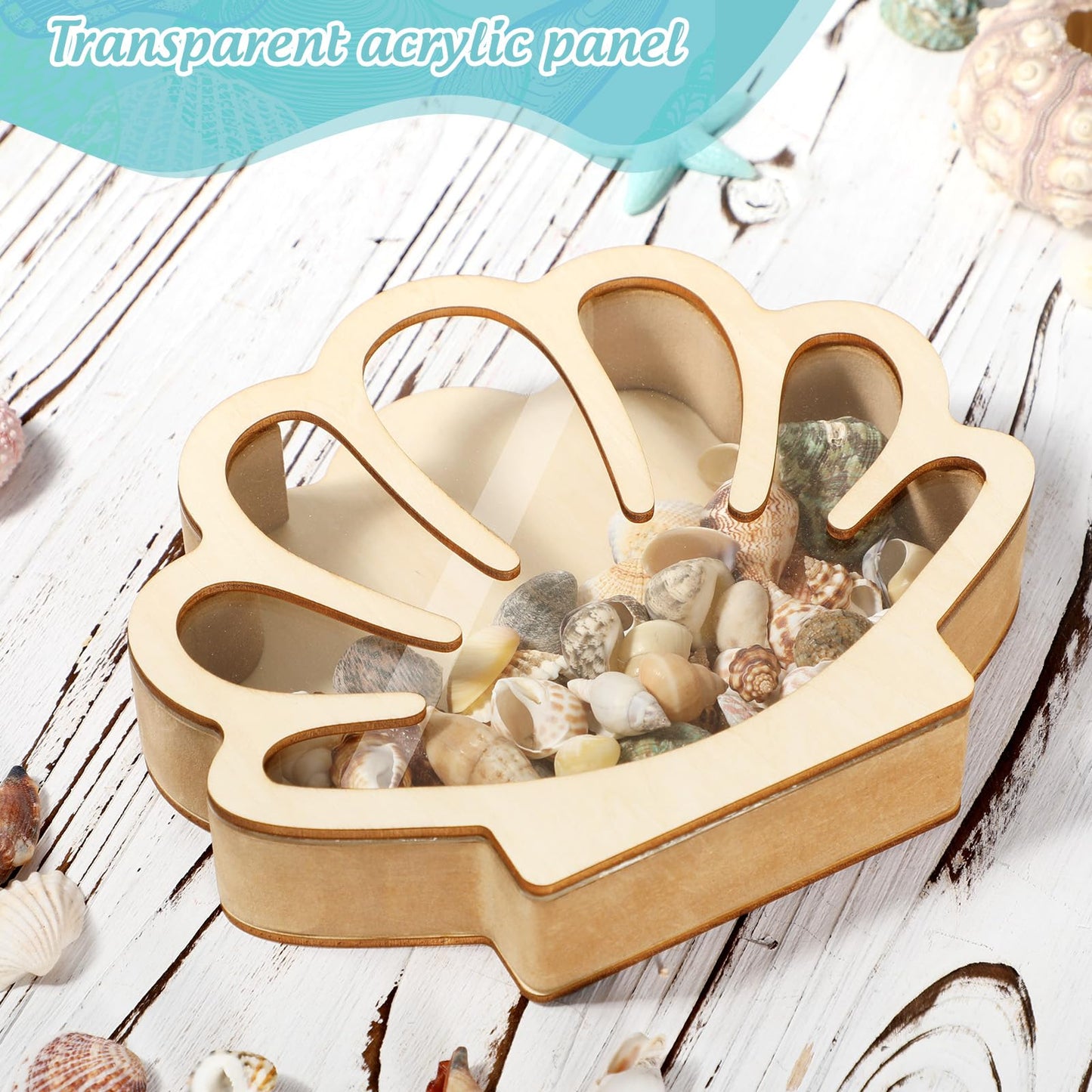 Xylolfsty Seashell Display Box Wooden Seashell Holder with Acrylic Panel Storage Box for Shells Sea Glass Small Starfish Shark Tooth Seashell Collection Home Decor Birthday Present