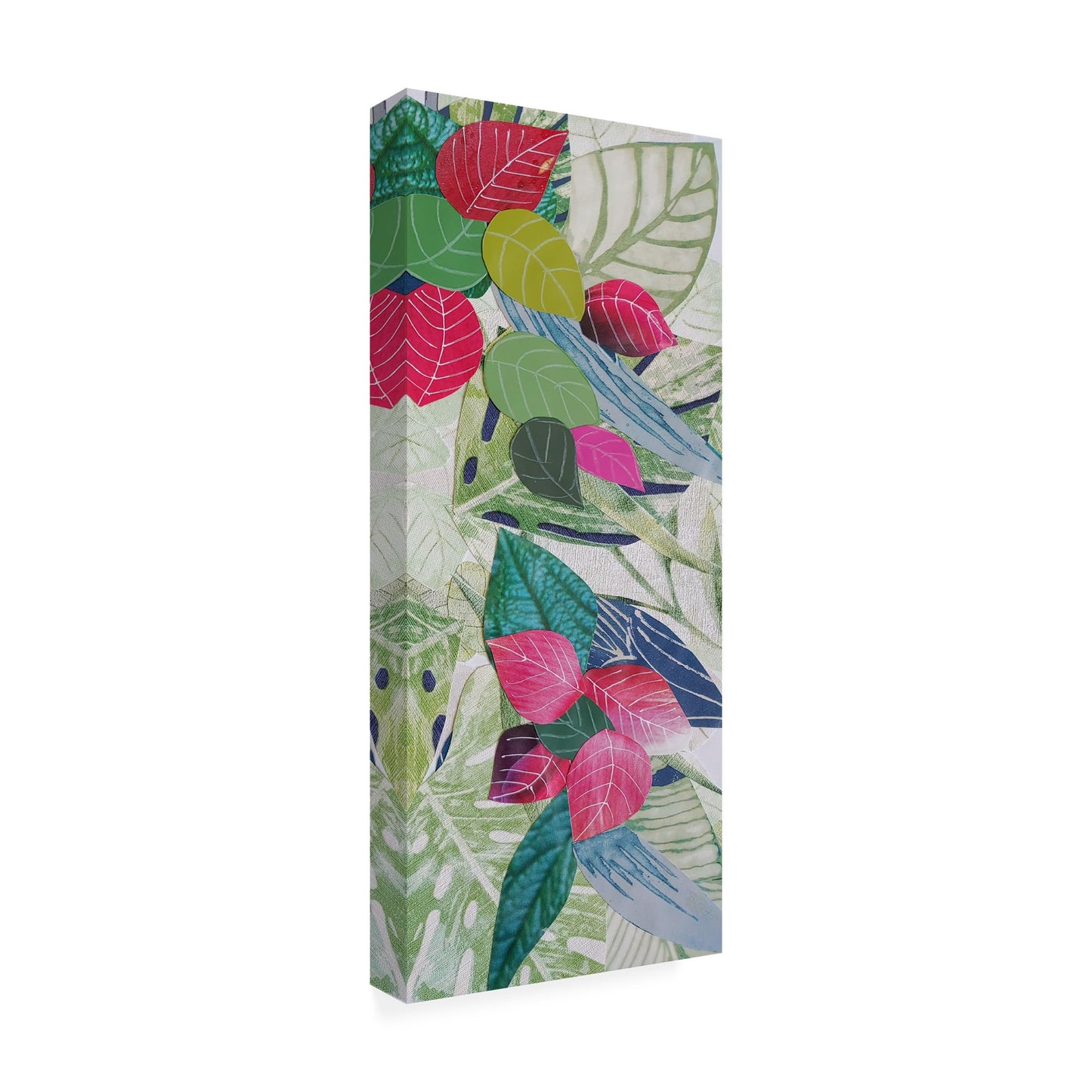 Trademark Fine Art Canvas Wall Art - Coco Good 'Bougainvilla II' Wall Art for Living Room, Bedroom, or Office Décor