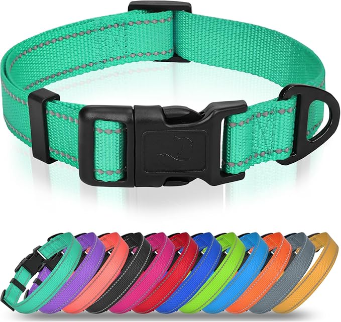 Joytale Feather-Light Dog Collar for Medium & Large Dogs, 1", Red