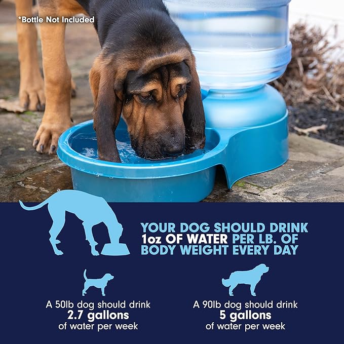 Petmate Big Blue Outdoor Pet Water Bowl, 5 Gallons, Jug not Included