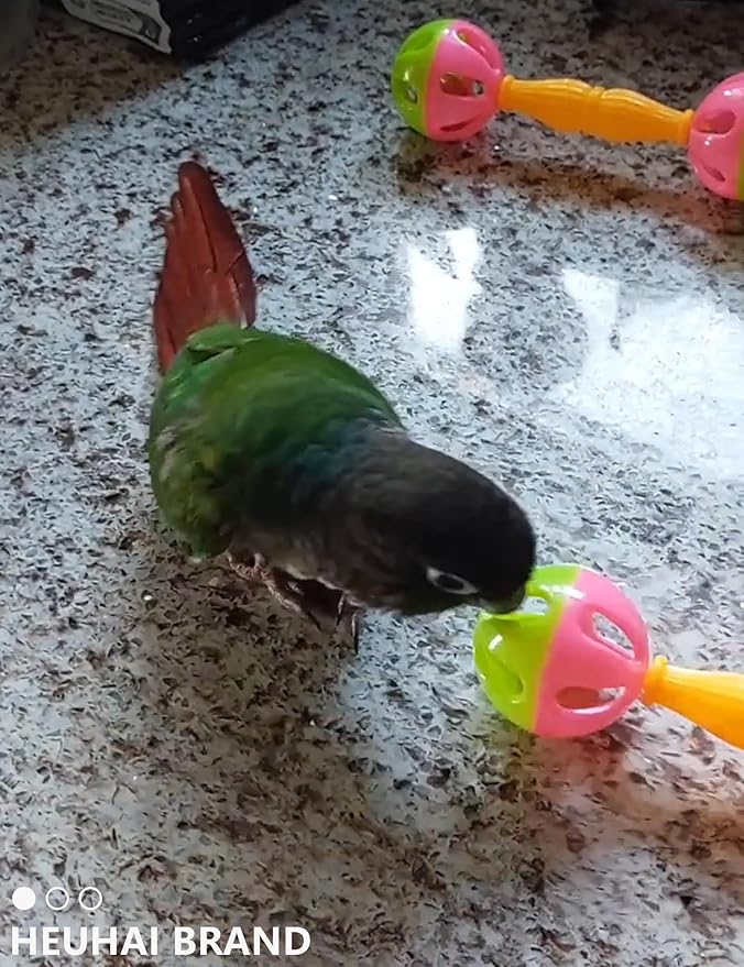 22 Pack Bell Rattan Play Balls Pet Bird Toys for Parakeets Small Birds