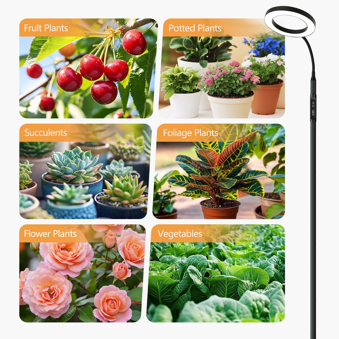 Vsoke 20W Indoor Plant Grow Light with Embedded Controller, Red Blue Warm Full Spectrum 95 LED Bulbs, Adjustable Height,Auto Timer,Dimmable Halo Growing Stand Lmap for Tall Large Small Plant Growth