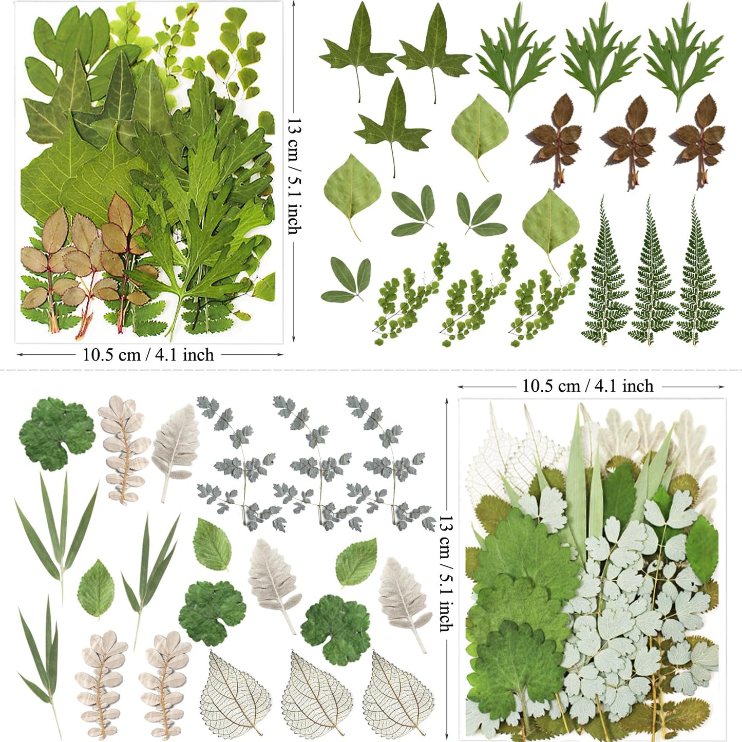 MIKIYA 84Pcs Pressed Dried Leaves for Resin Molds, Assorted Real Natural Bulk Dry Flowers for DIY Art Crafts, Epoxy Jewelry, Candle, Soap Making, Nails Decors Gifts