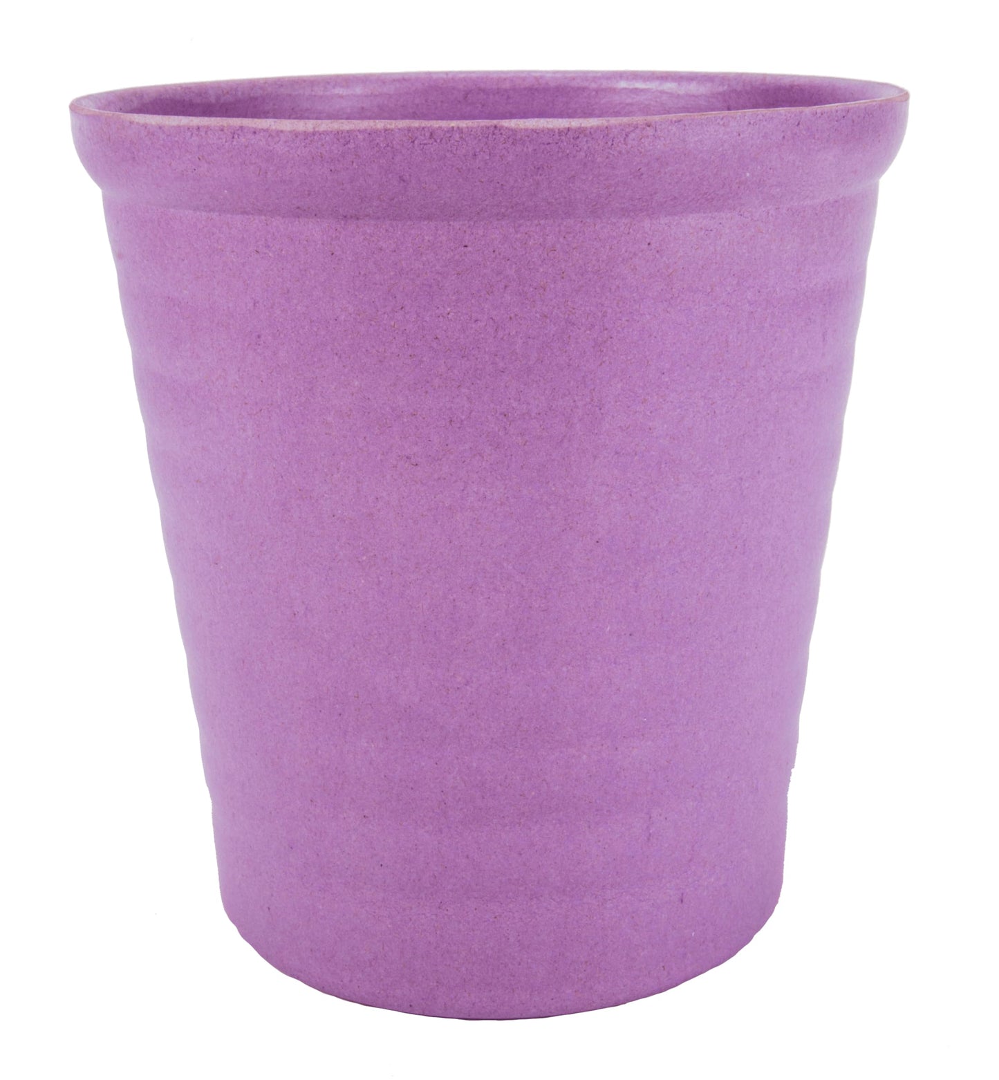 DecoBlooms Premium White 5” Orchid Live Indoor Plant (Modern Pot Included) – Grown in the USA - Fresh Flowering Home Decor Delivery for Birthday, Anniversary, Sympathy, Wedding, Mother's Day