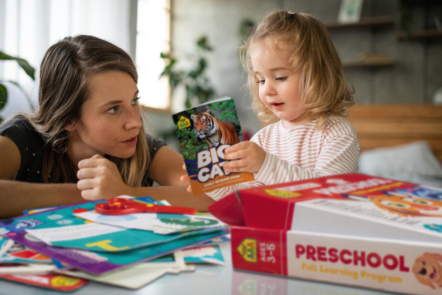 School Zone Preschool Learning Kit: Workbooks, Flash Cards, Early Reader Books & Educational Games Set, Reading, Writing, Math, Homeschool Curriculum, Kindergarten Readiness, Ages 3+