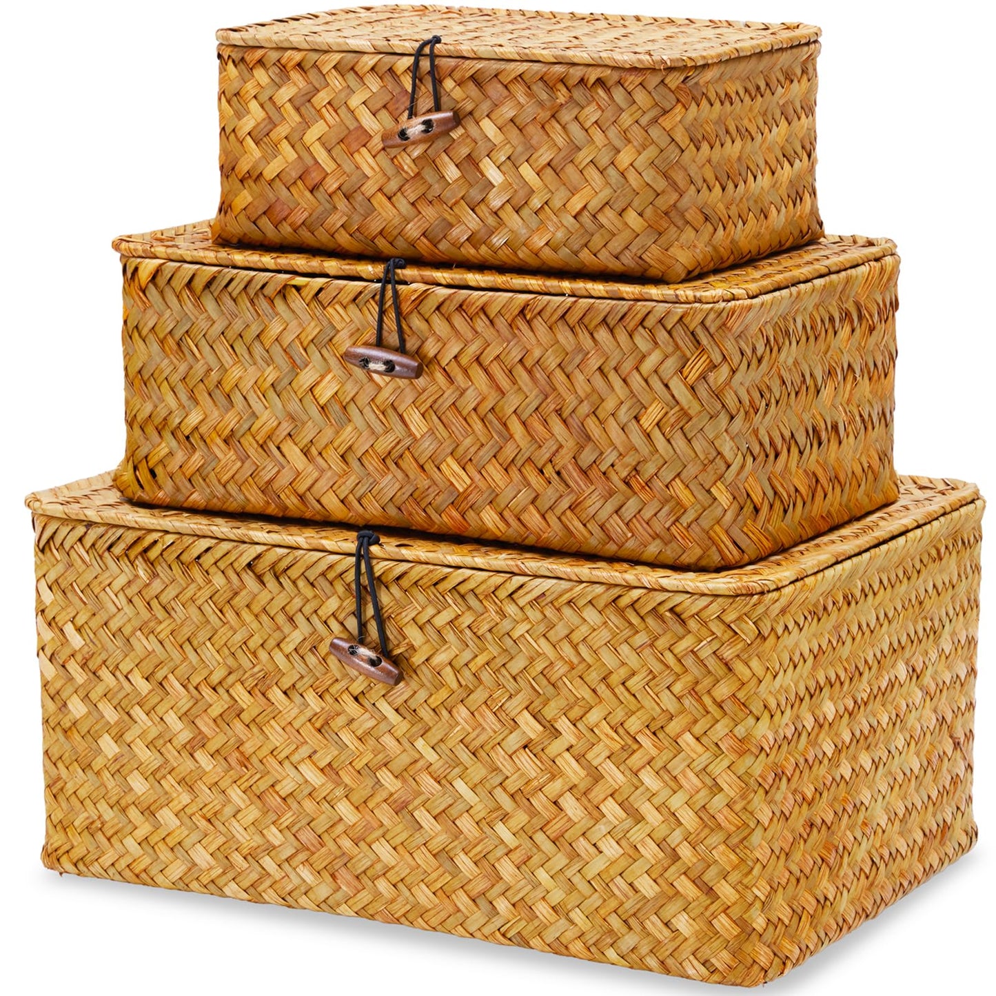 EugroVanth Wicker Storage Box with Lid, Handwoven Baskets for Storage, Rectangle Decorative Baskets Bins Container for Shelf Organizing Home, Set of 3, Natural