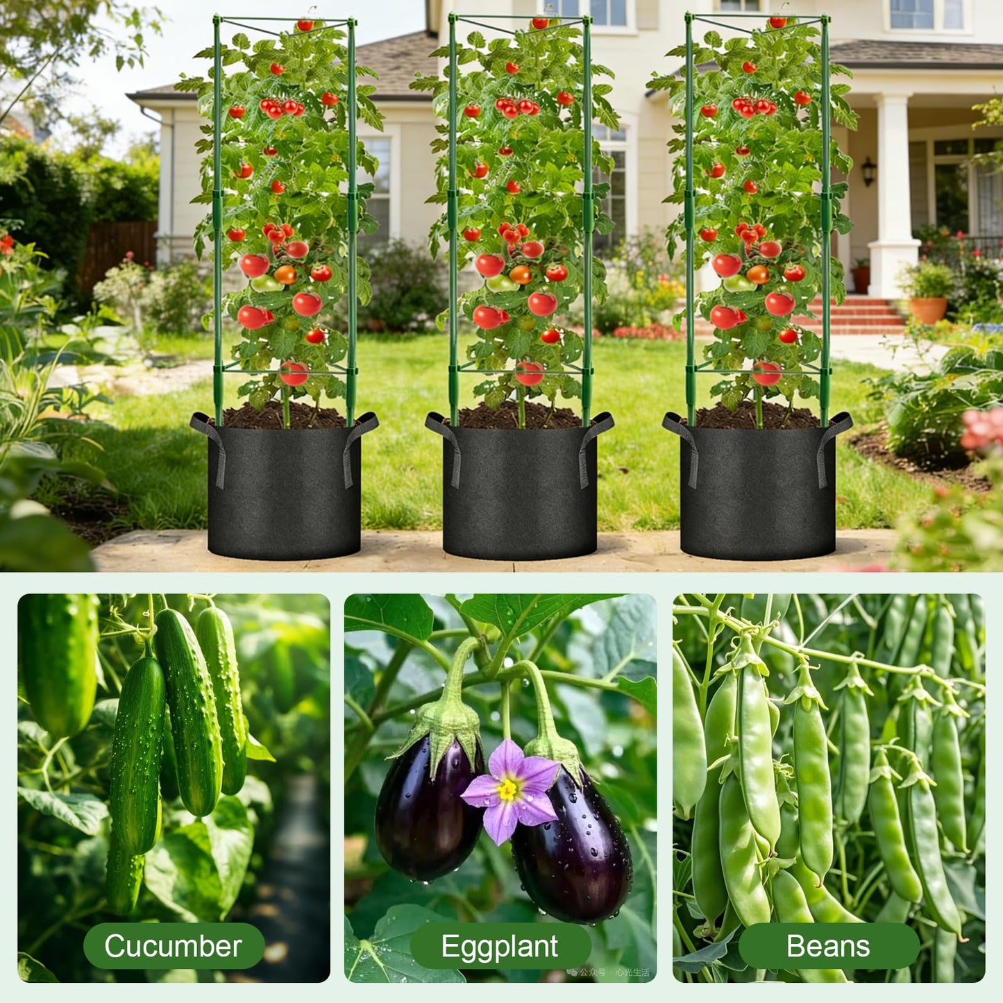3 Pack Tomato Cage with 10 Gallon Grow Bags, 48" Height Adjustable Tomato Trellis with 65Ft Twist Tie, Heavy Duty Tomato Cages for Garden Flowers Vegetables Climbing Plants