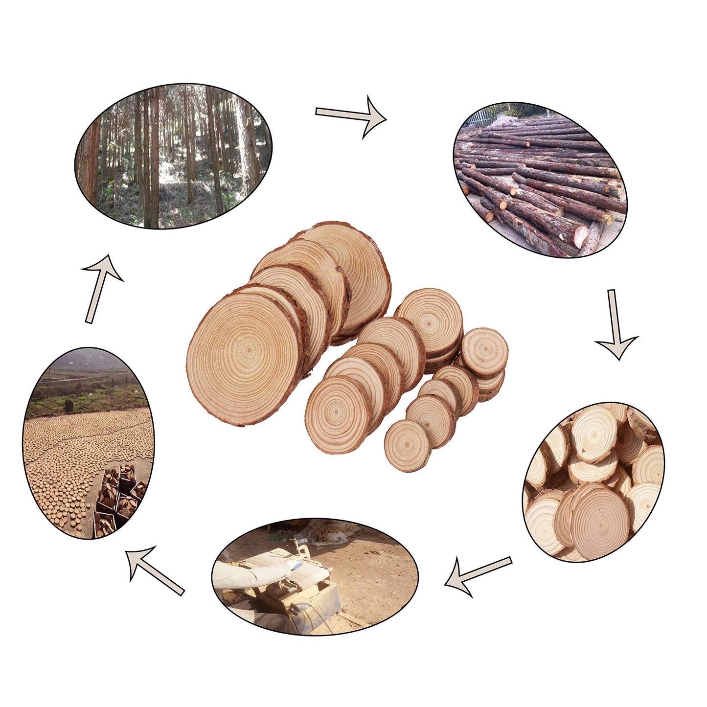 Natural Wood Slices, Tiberham 21 Pcs 1.2-3.9 Inches Unfinished Wooden Circles Round Rustic Wood with Bark, Solid Log Discs Craft Wood Kit for Arts DIY Crafts Christmas Home Decorations