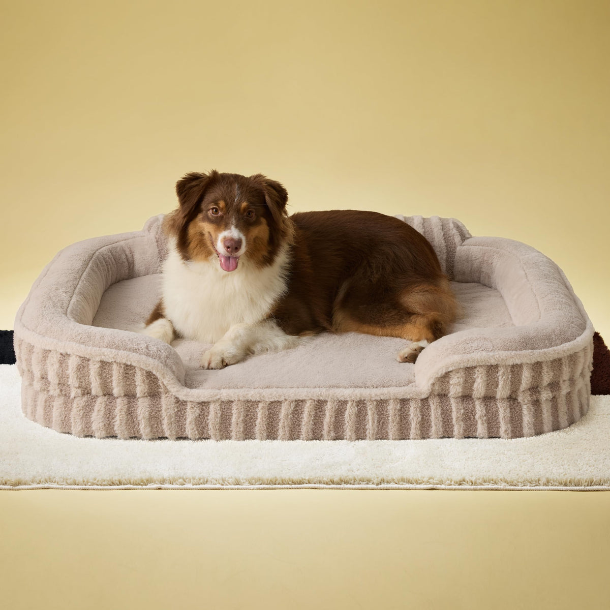 LE SURE Cute Cozy High Back Orthopedic Dog Beds Large Sized Dog,35" Beige