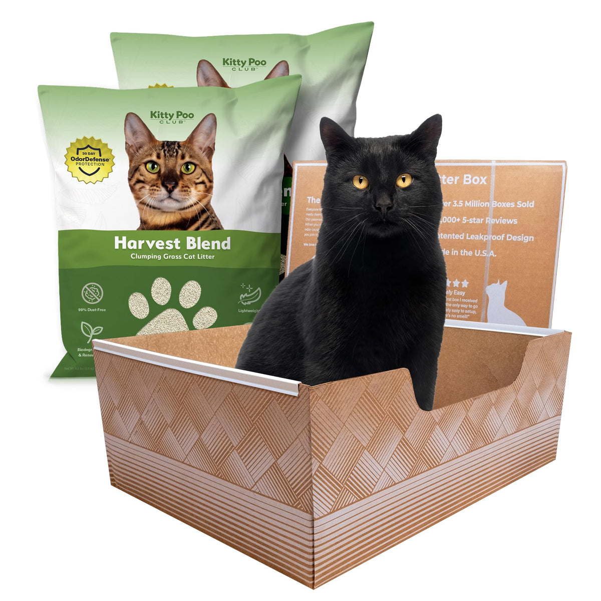 Kitty Poo Club Disposable Cat Litter Box 2-Pack with Corn & Wheat Litter