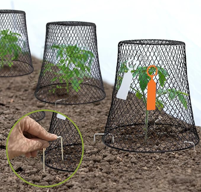 Dukelai 10 Pcs 9.13"×9.13" Chicken Wire Cloche Plant Covers Garden Netting Metal Heavy Duty Plant Protectors from Animals for Keeping Bunnies Chicken Squirrels Birds Other Out