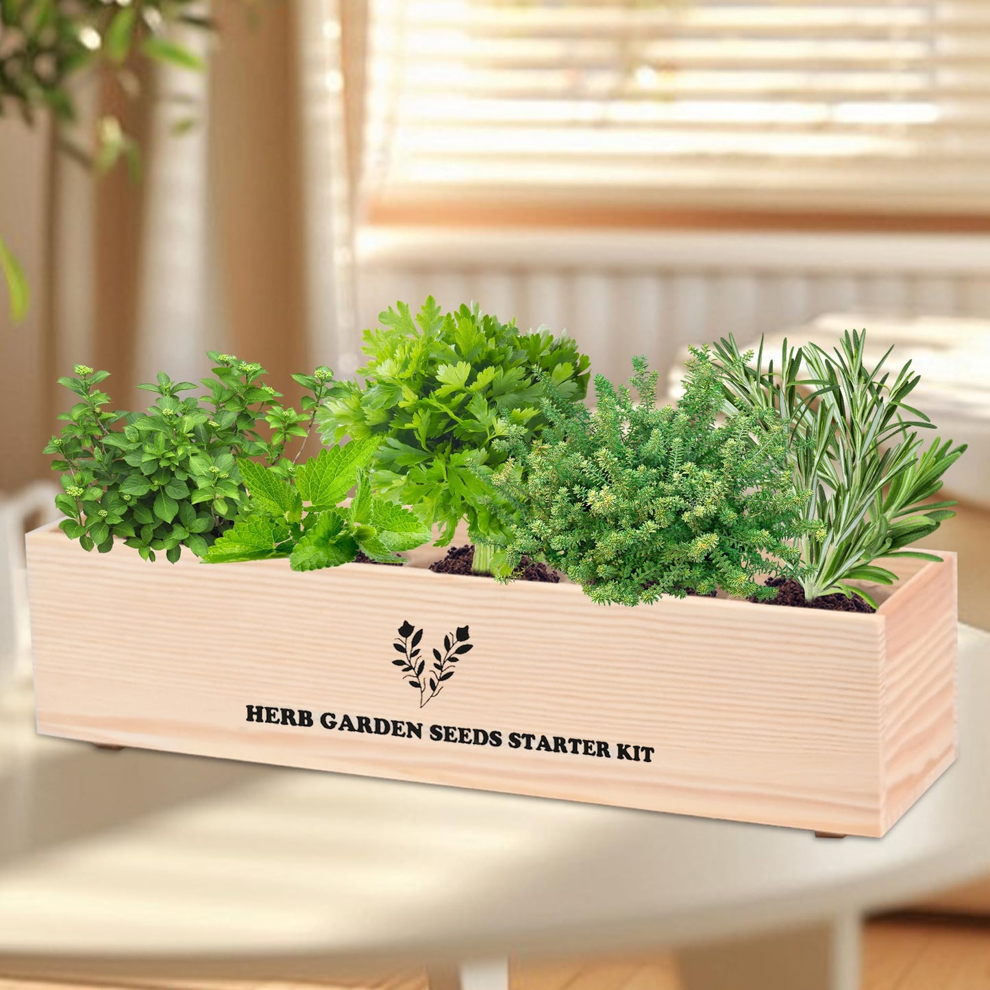 Indoor Herb Garden Starter Kit, Including A Complete Gardening Tools for Women Parents Gift
