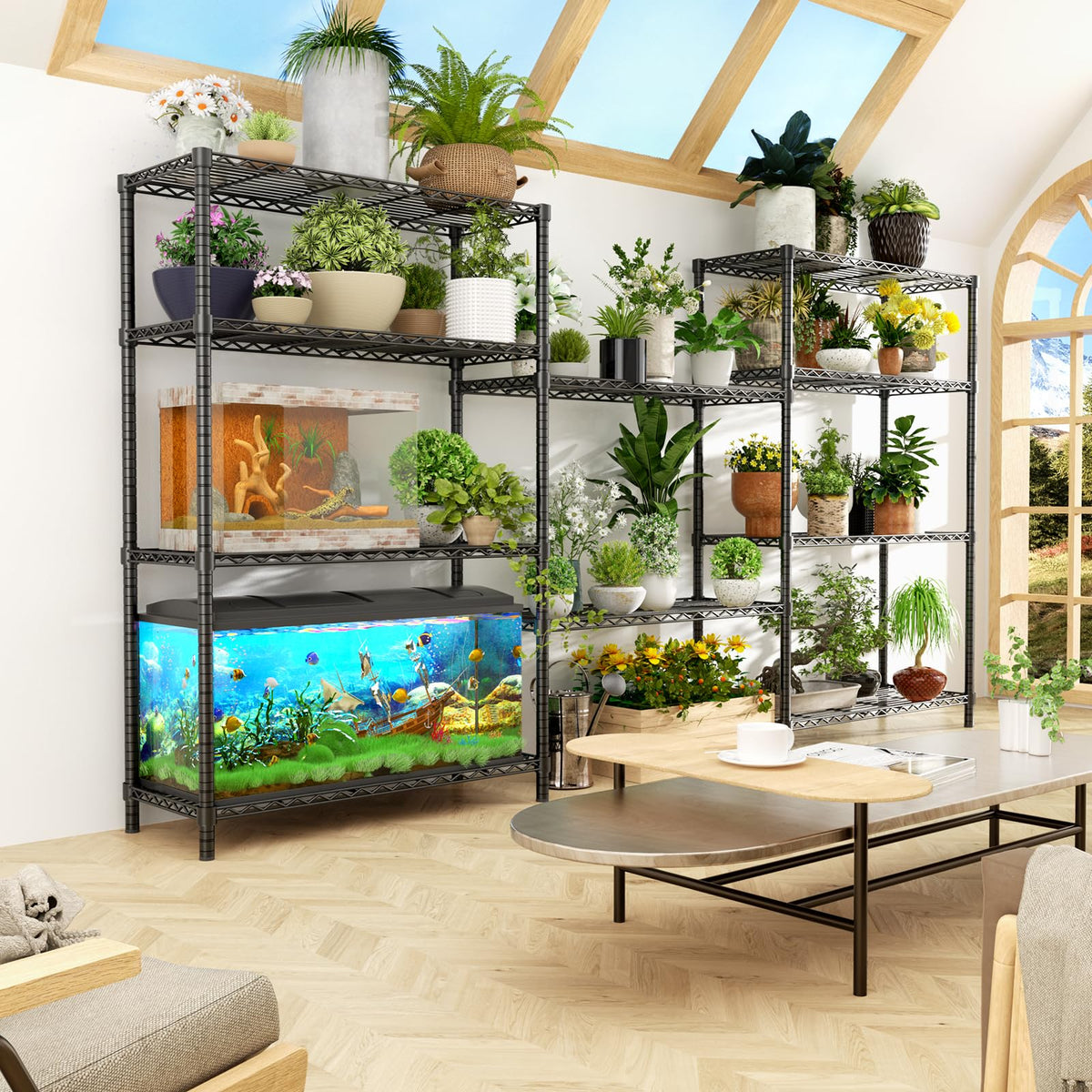 Storage Shelves (5 Count)