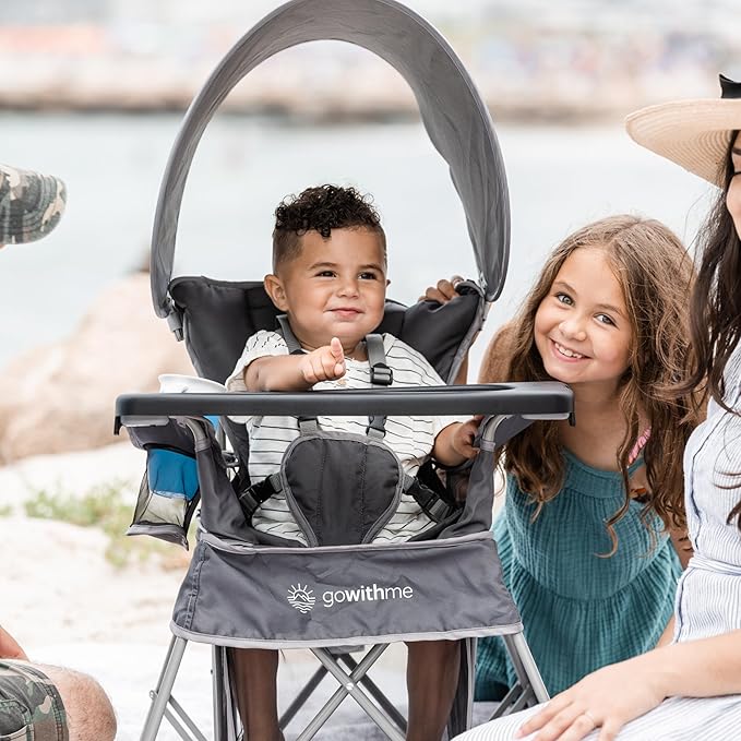 Baby Delight Go with Me Venture Portable Chair | Indoor and Outdoor | Sun Canopy | 3 Child Growth Stages | Grey