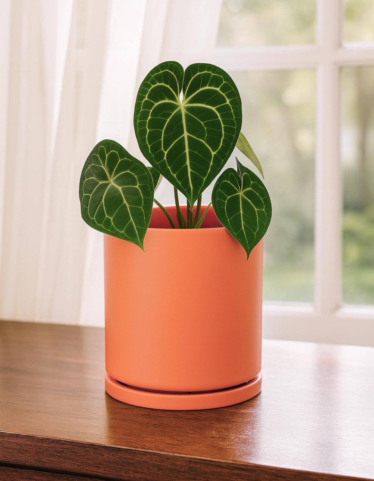 D'vine Dev Double-Layer Planter Set – Rotating Plastic Cachepot with Clear Inner Liner for Root Health, Perfect for Indoor Plants, 4.5", Pumpkin, 73-U-E-1