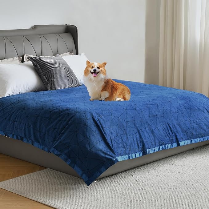 Softan Waterproof 100% Leak Proof Blanket for Baby Adults Pets Dogs Cats, Pee Proof, 3 Layer Protector for Bed, Sofa Couch and Other Furniture, 70"x90", Charcoal | Black, Reversible Lightweight