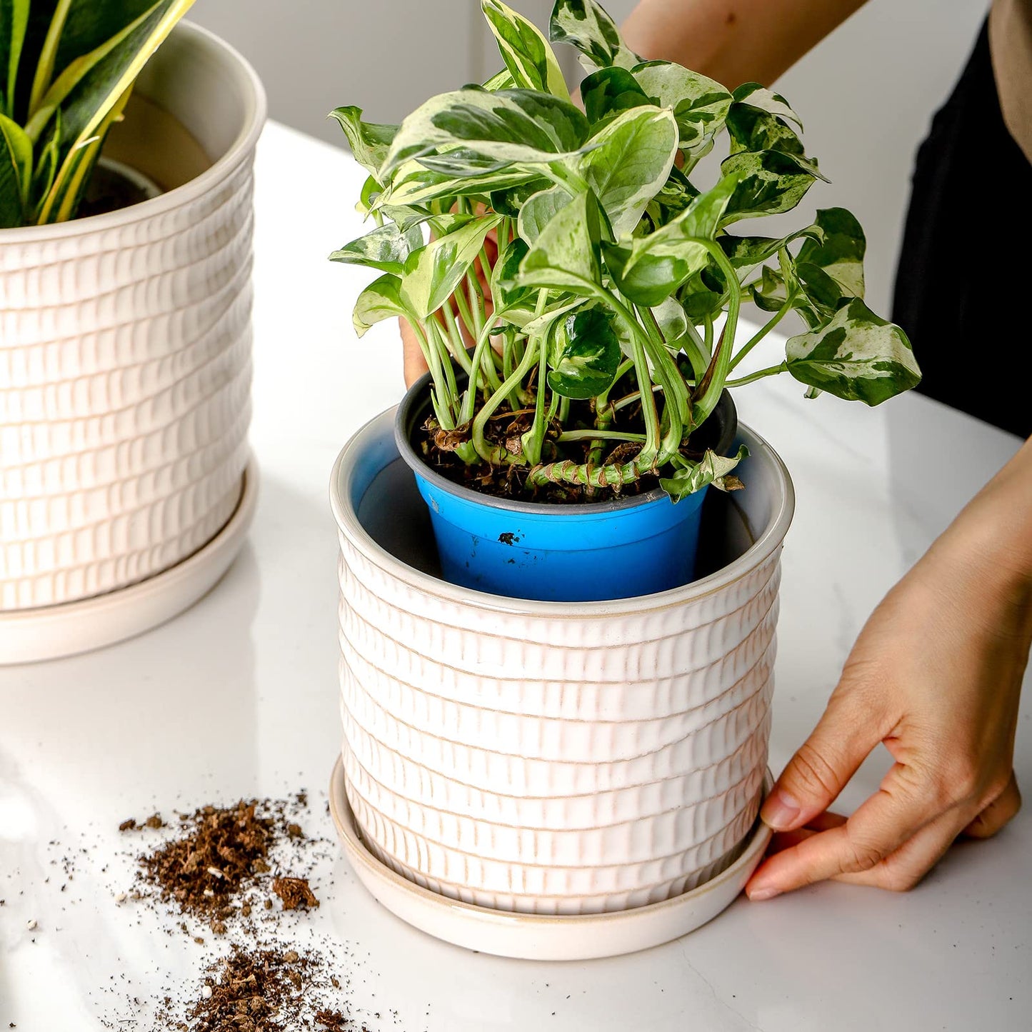 Chubacoo 5.8 Inch Plant Pot: Ceramic Planter with Drainage Hole & Saucer for Indoor Outdoor Plants - Flowerpot with Bonded Tray for Home Office - Wave Embossed