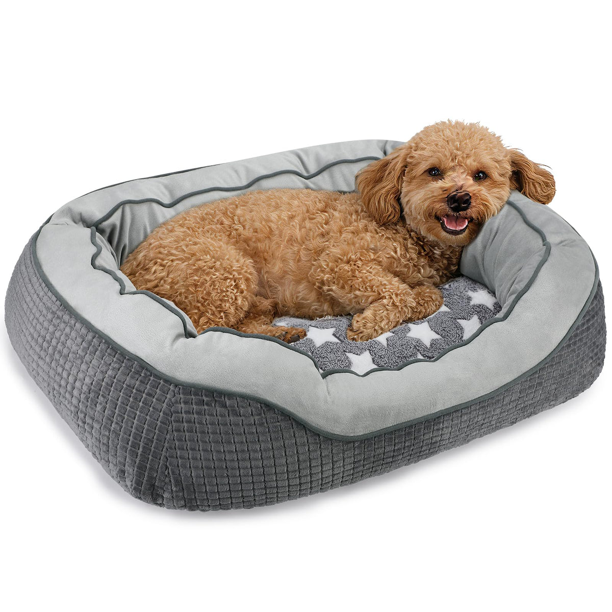 SIWA MARY Washable Dog Bed Medium Size Dogs, Orthopedic Pet Bed