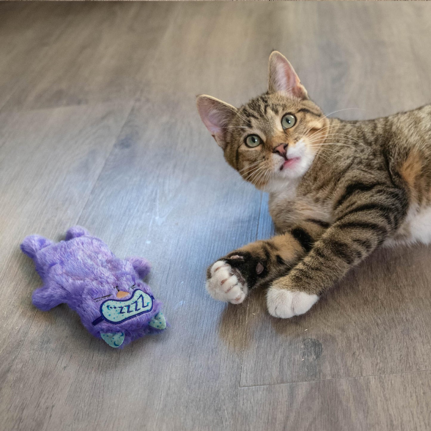 Catstages Purr Pillow Cat Toy – Plush Cat Toy with Touch-Activated Purr for Calming Cats & Kittens