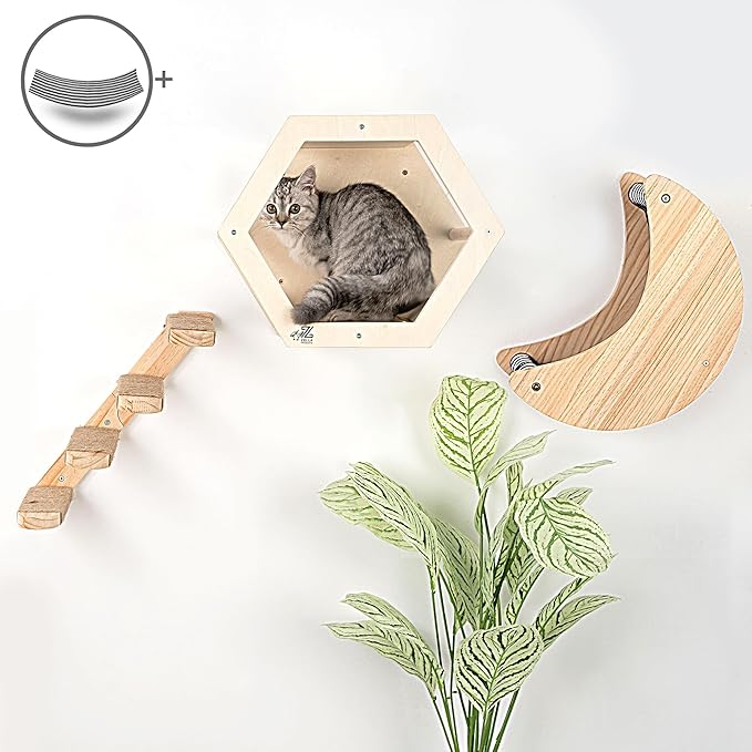 3-Piece Cat Wall Furniture Set: Hammock, Hexagon House & Climbing Steps, Wall-Mounted Wooden Shelves for Indoor Cats, + Spare Hammock Fabric