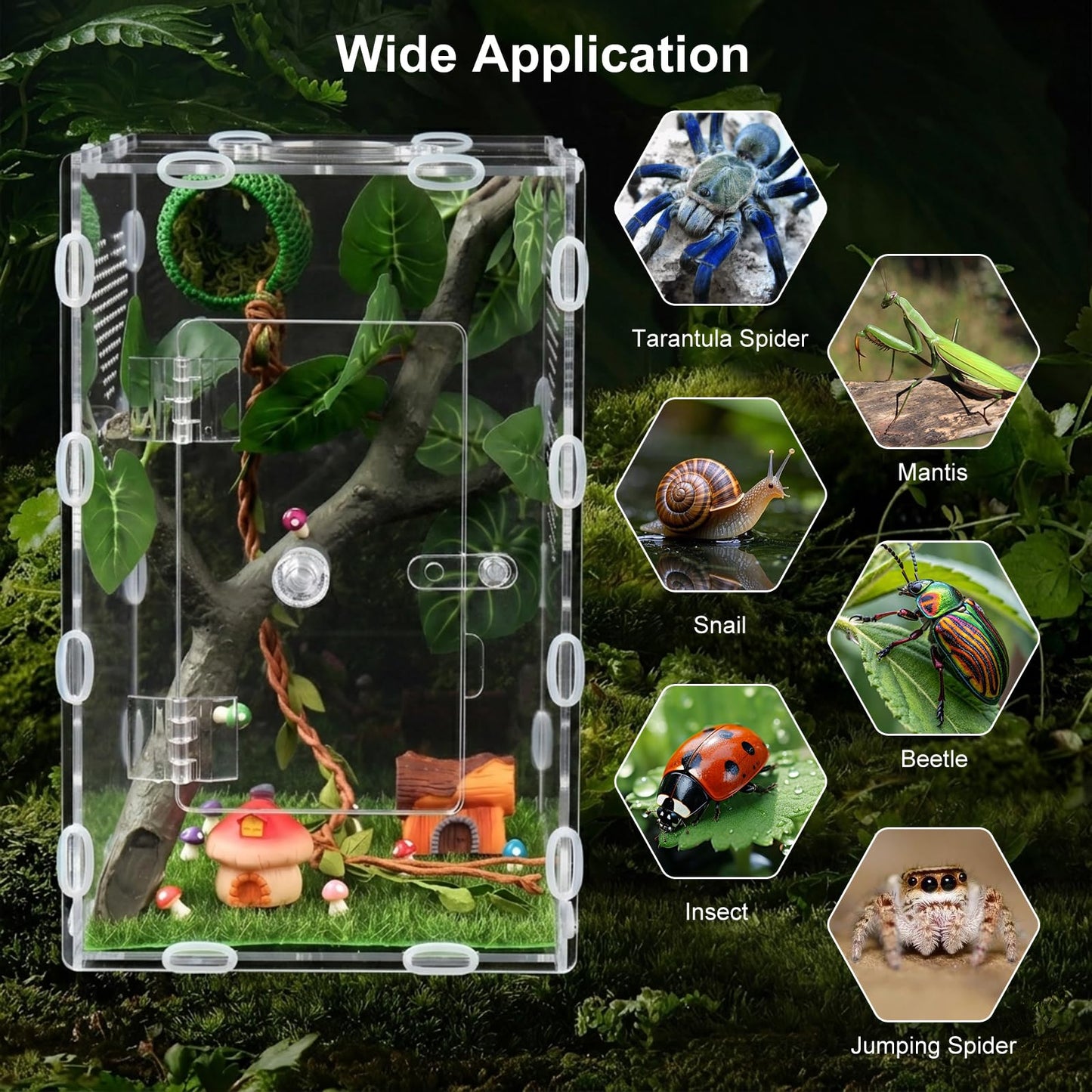 YPJXBEST Jumping Spider Enclosure,6x6x10 in Spider Enclosure Easy Assembly with DIY Jumping Spider Accessories Front Opening Bug Habitat with Feeding Port for Mantises,Spiders,Insects