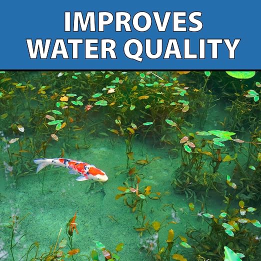 CrystalClear MuckOff Natural Pond Muck Treatment Sludge Remover, 24 Tablets