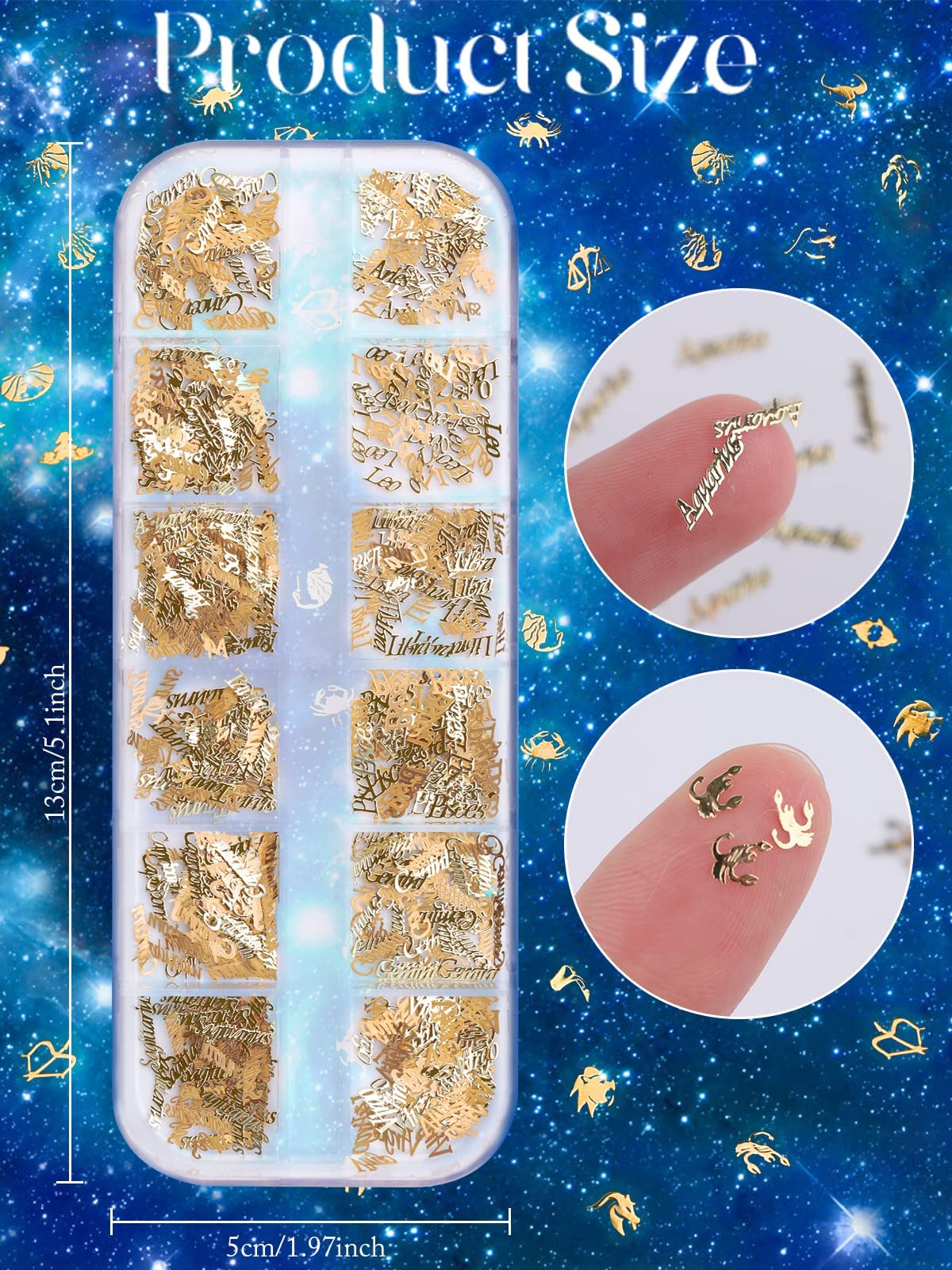 EBANKU 2 Boxes Zodiac Nail Charm, 3D Gold Twelve Constellation Charms for Nail Art, Alloy Nail Sequins Aquarius Nail Charms for Nail Art Decoration