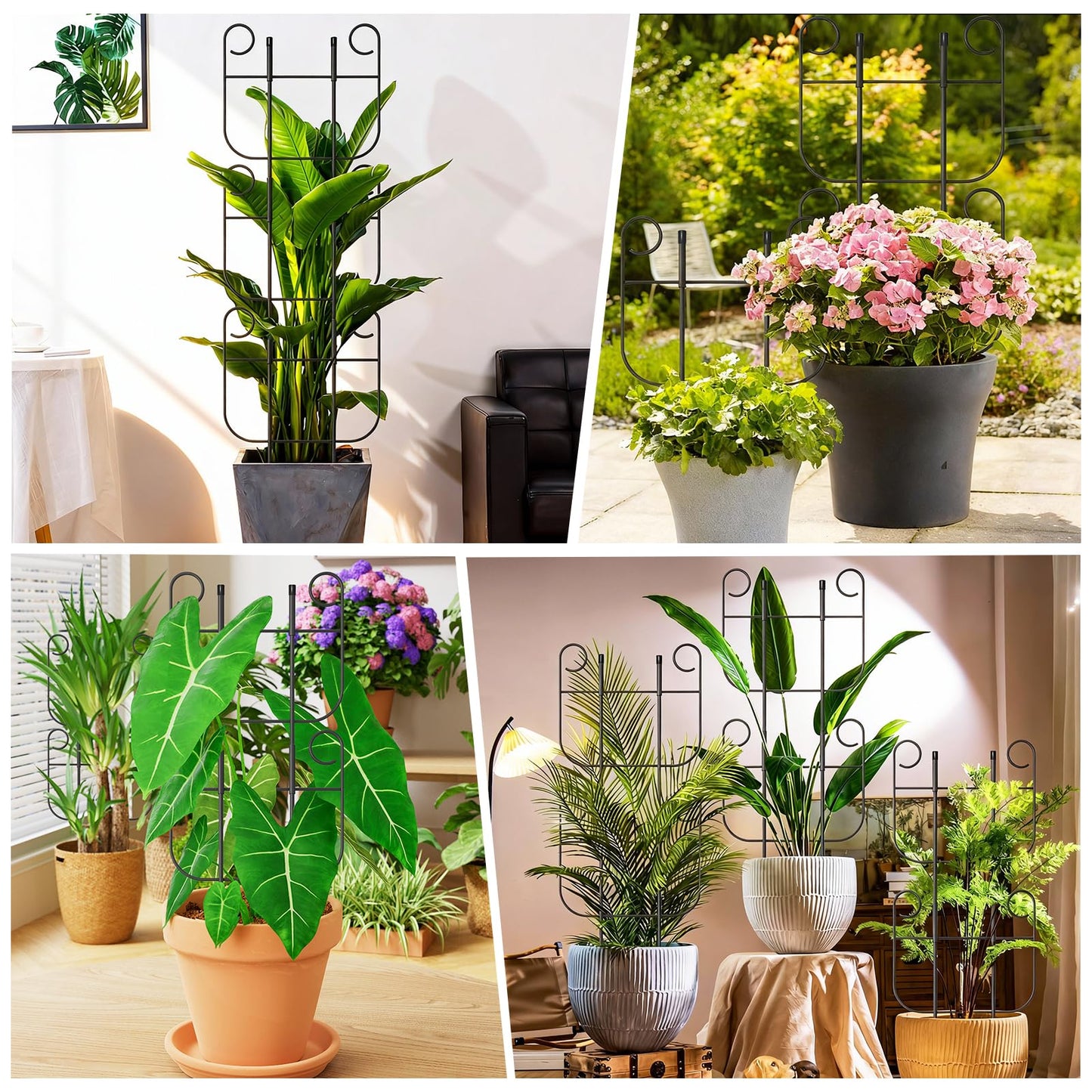 4 Pack Trellis for Climbing Plants Indoor, Expandable Small Metal Trellis for Potted Plants, Flowers Vine Ivy, Sturdy Houseplant Pothos Plant Climber Support