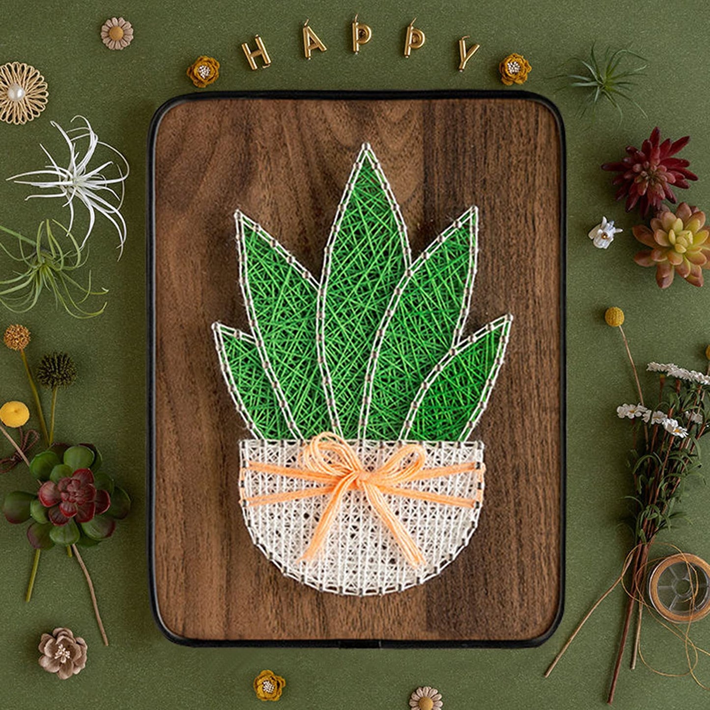 BAZIMA DIY String Art Kit for Beginner,DIY Aloe Potted Craft Kit,Unique Gift,Craft Kit for Holidays